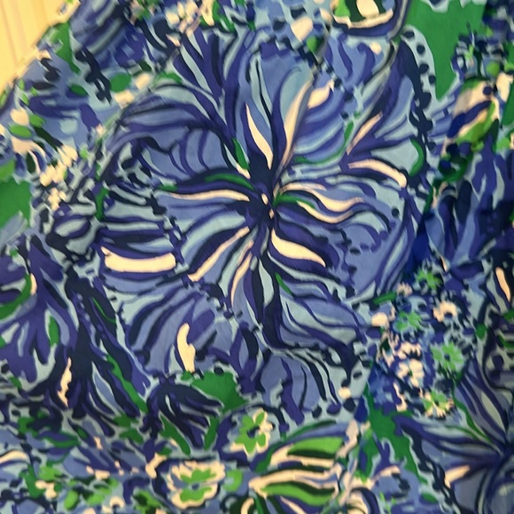 Lilly Pulitzer Dress - Picture 3 of 4